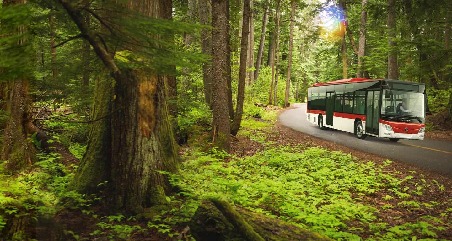 Un arbol por cada bus eléctrico